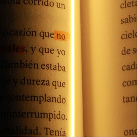 Velora LightBook Pro™ – Iluminación LED Premium para Lectores